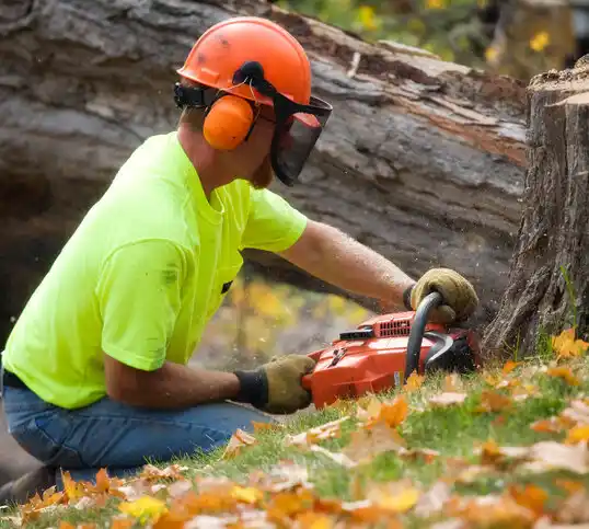 tree services Lime Lake